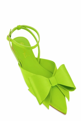 Bow Pointed Toe Ankle Strap Flats