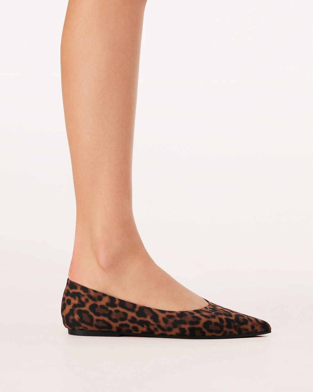 HELAINA - LEOPARD