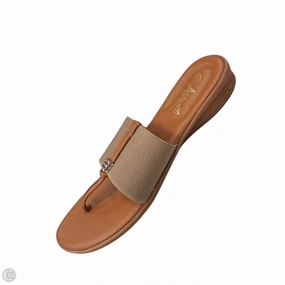 Sandals Flip Flops By Clothes Mentor In Brown, Size: 9
