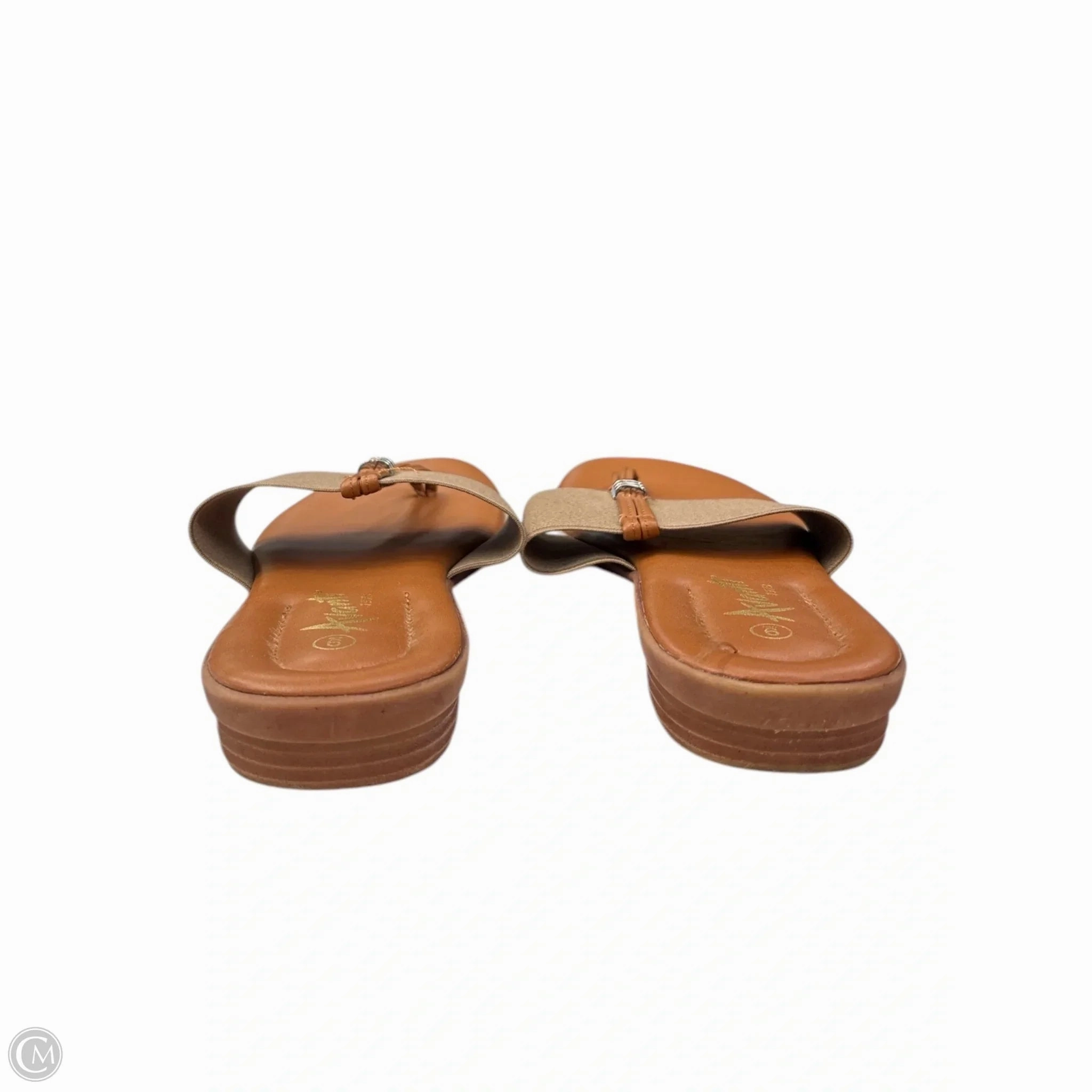 Sandals Flip Flops By Clothes Mentor In Brown, Size: 9