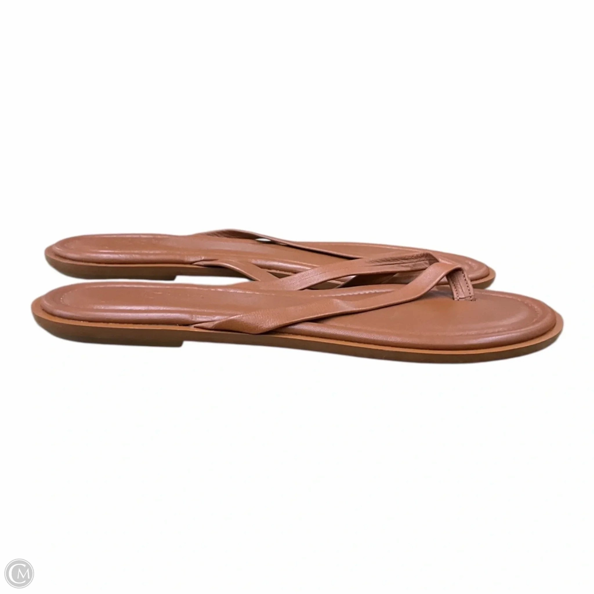 Sandals Flip Flops By J. Crew In Brown, Size: 9.5