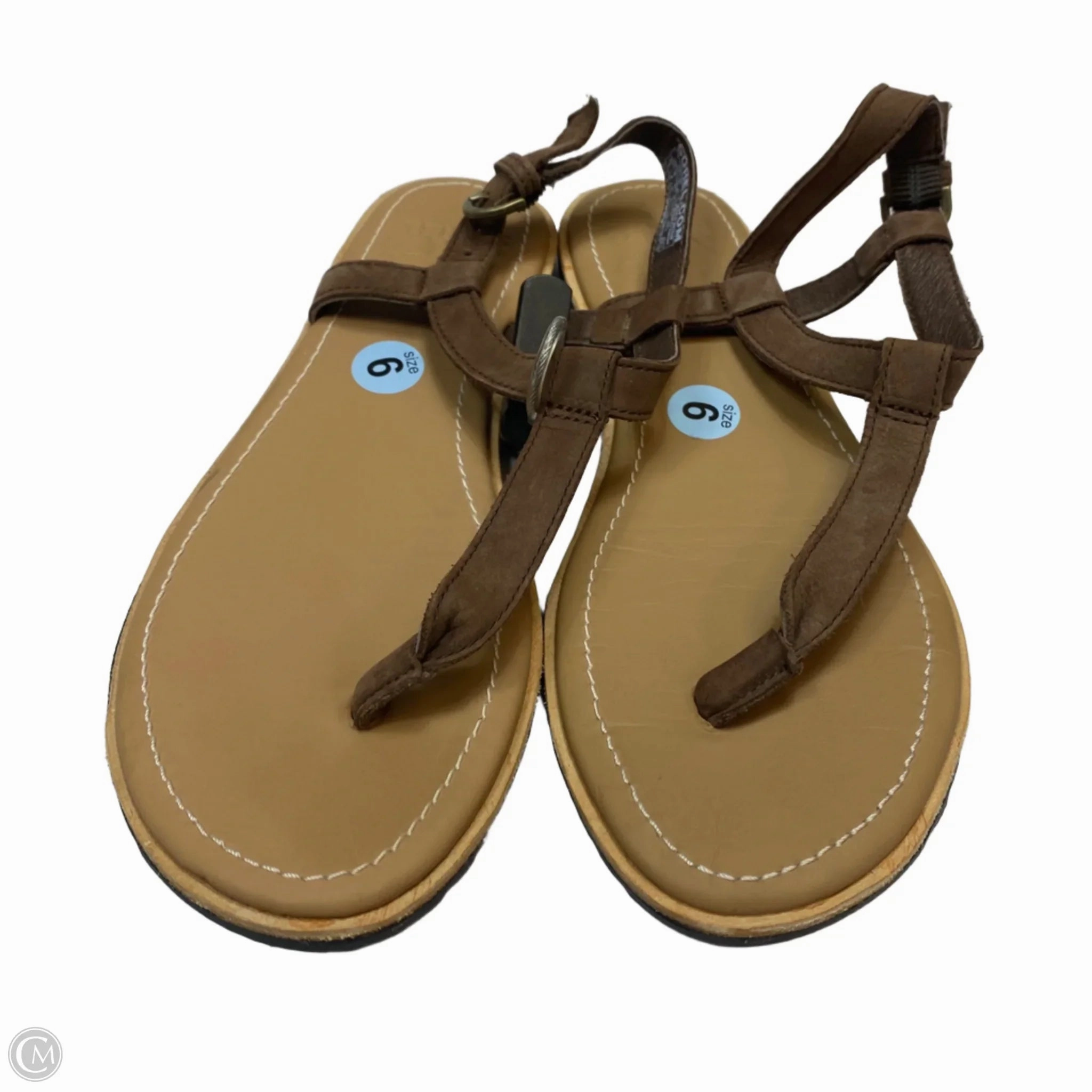 Sandals Flip Flops By Sorel In Brown, Size: 6