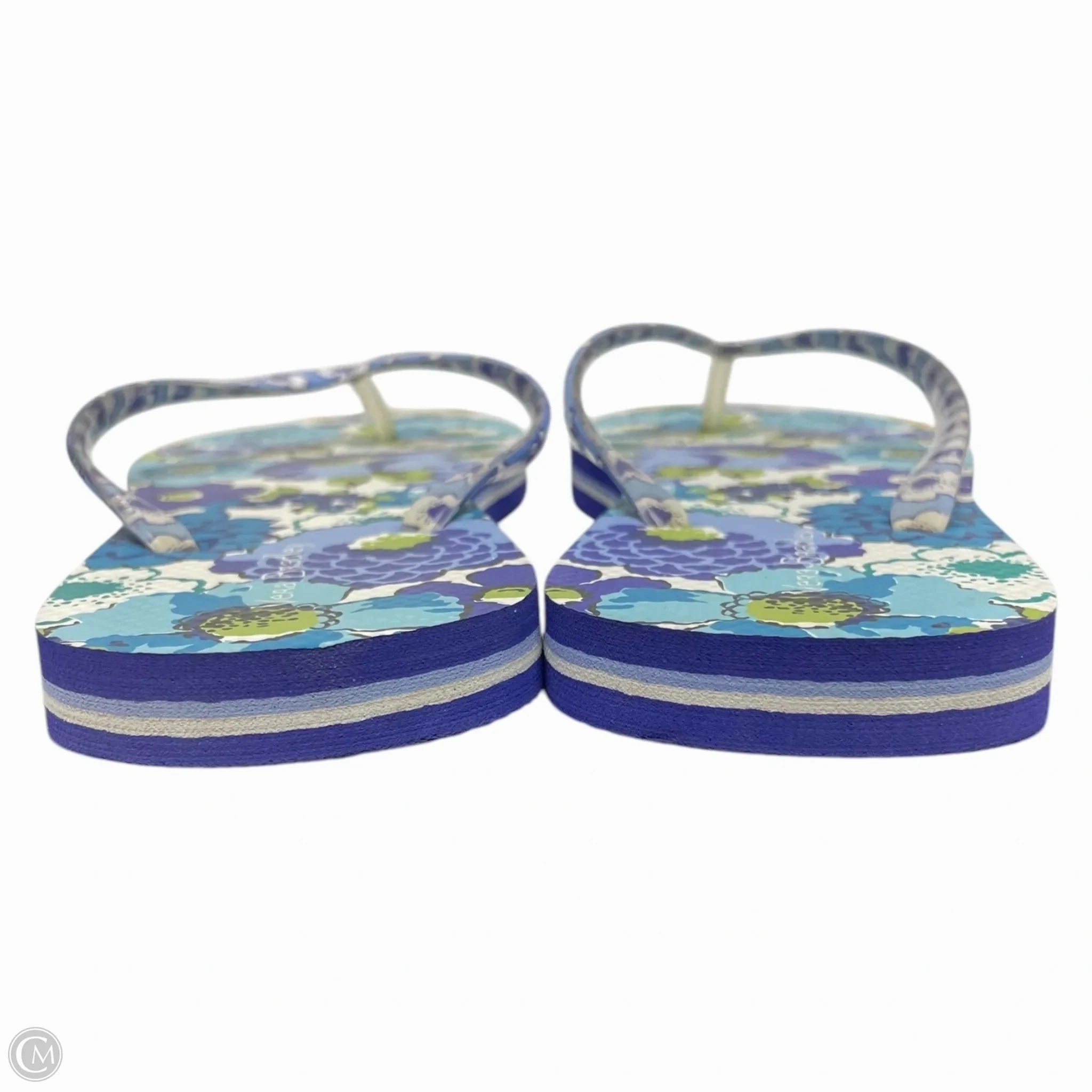 Sandals Flip Flops By Vera Bradley In Floral Print, Size: 6