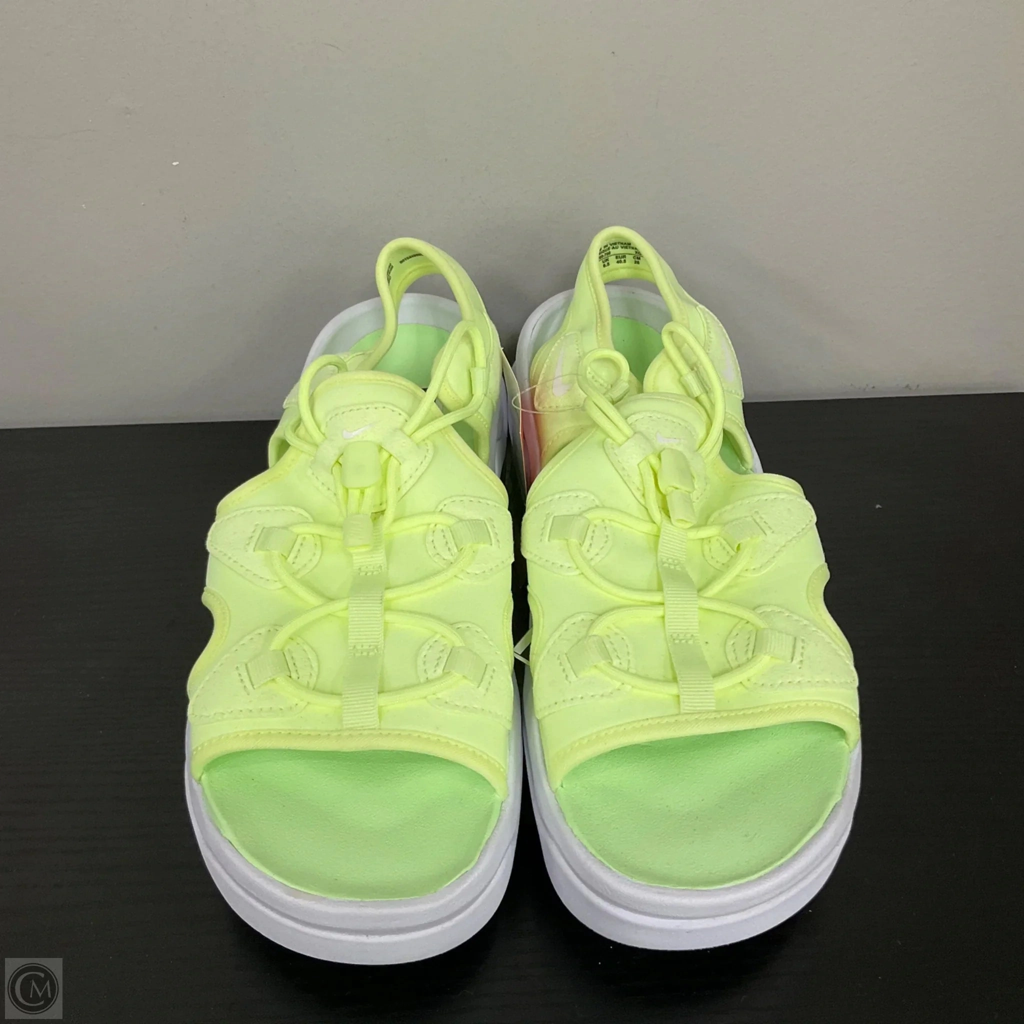 Sandals Sport By Nike In Green & White, Size: 9