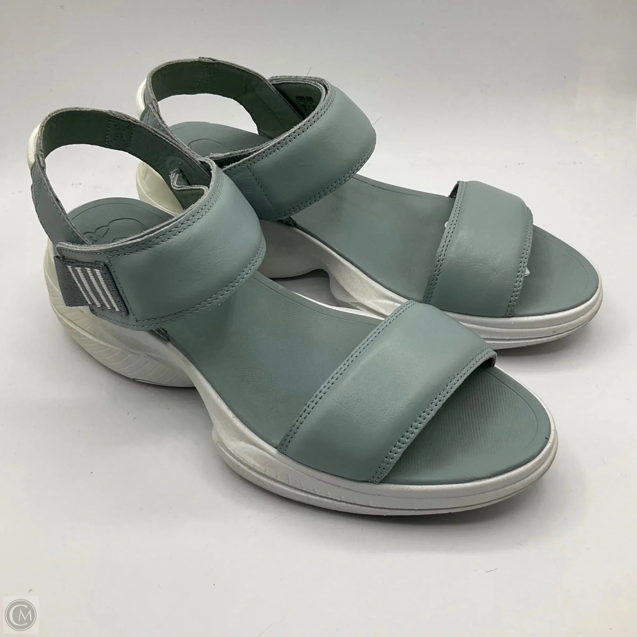 Sandals Sport By Sorel In Blue, Size: 9.5
