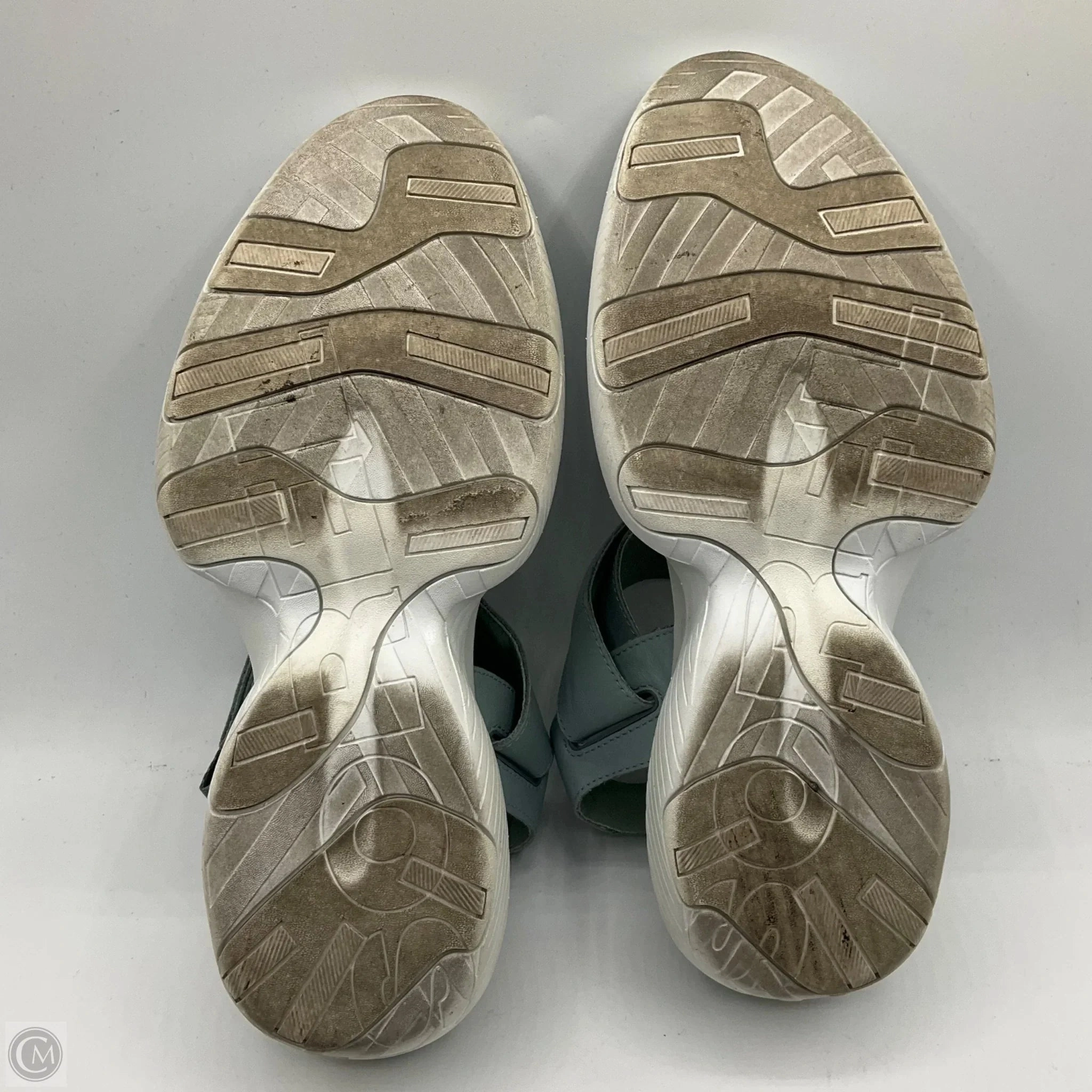 Sandals Sport By Sorel In Blue, Size: 9.5